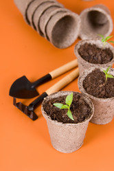 Similar image 1224102