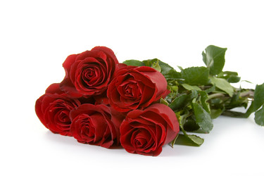 Similar image 1224121