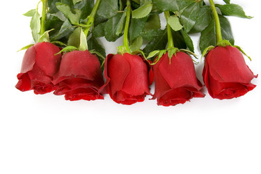 Similar image 1224123