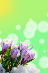 Similar image 1224129