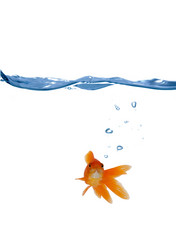 Similar image 1224136