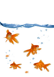 Similar image 1224137