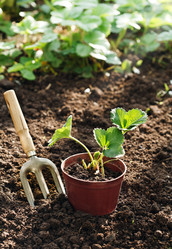 Similar image 1224240