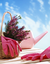 Similar image 1224241