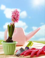 Similar image 1224244