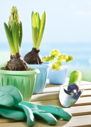 Similar image 1224245