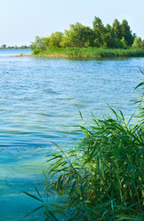 Similar image 1224339