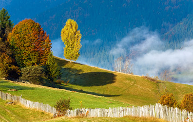 Similar image 1224348