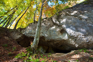 Similar image 1224354