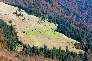 Similar image 1224376