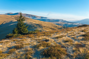 Similar image 1224377