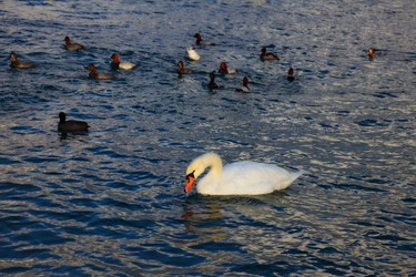 Similar image 1224379