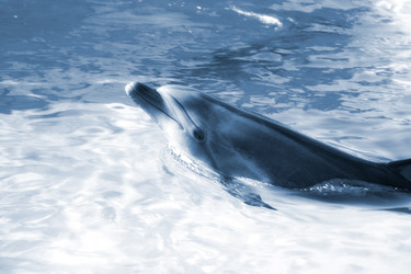 Similar image 1224382