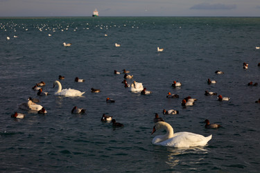 Similar image 1224390