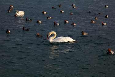 Similar image 1224391