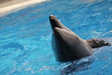 Similar image 1224398