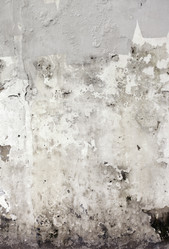 Similar image 1224403