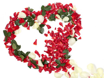 Similar image 1224641