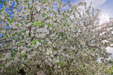 Similar image 1224643