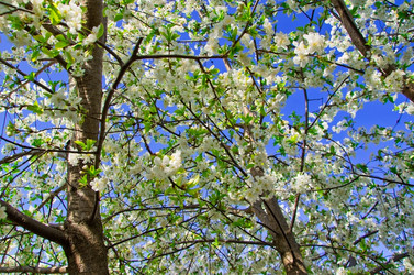 Similar image 1224644