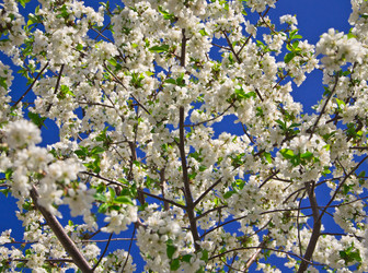 Similar image 1224645