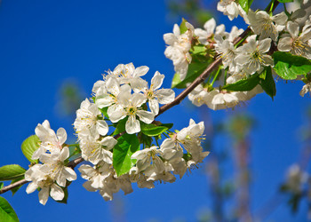 Similar image 1224646