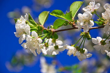 Similar image 1224647