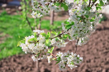 Similar image 1224648