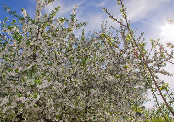 Similar image 1224649