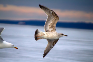 Similar image 1224741