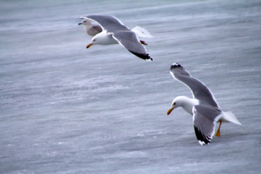 Similar image 1224742