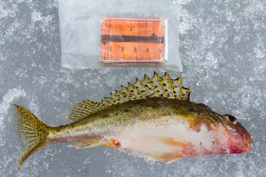 Similar image 1224746