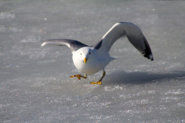 Similar image 1224747