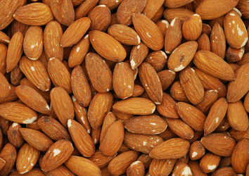 Similar image 1225155