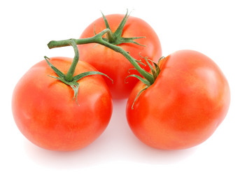 Similar image 1225159