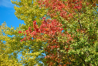 Similar image 1225167