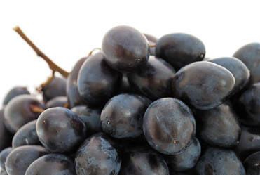 Similar image 1225194