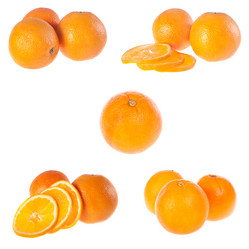 Similar image 1225221