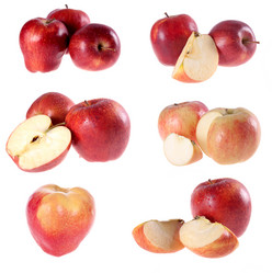 Similar image 1225224