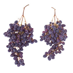 Similar image 1225227