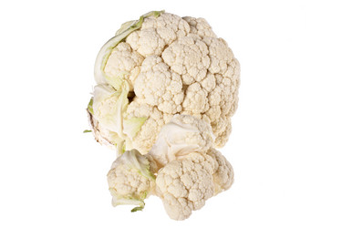 Similar image 1225237