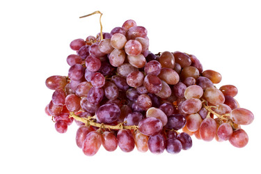 Similar image 1225246