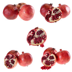 Similar image 1225252