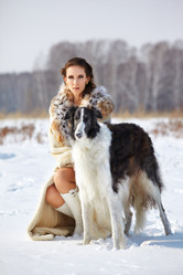 Similar image 1225269