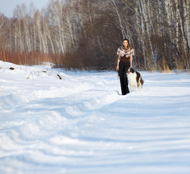 Similar image 1225272