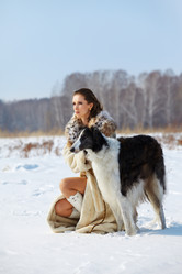 Similar image 1225279