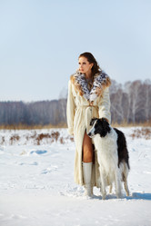 Similar image 1225281