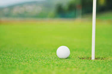 Similar image 1225379