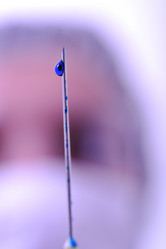 Similar image 1225399