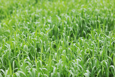 Similar image 1225537